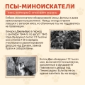W__1l-Kcgbl9TphpYOF_aIcgAPFftrKALQkWcMqN9JQwB6qZKcMV5rlOJxBKvHmUlTj1DuopqNLzYZigrL3jYp1R